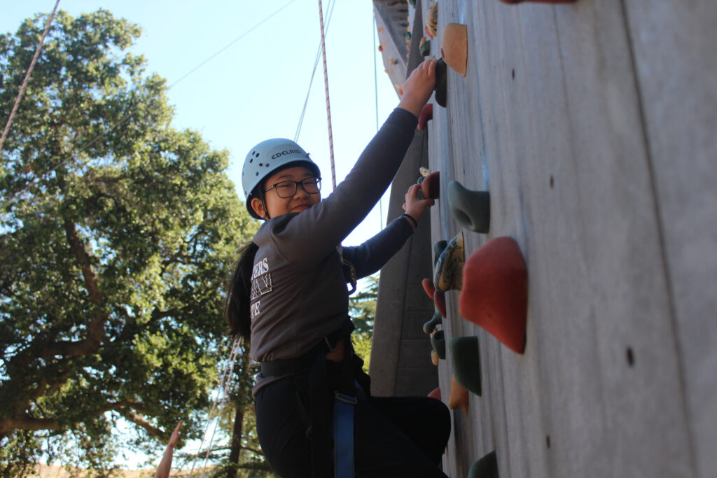 Kid on a rock climbing wall